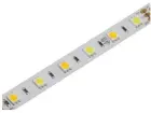 215361_LED-PAS-14-4W-M-WW-CW-IP20-12V