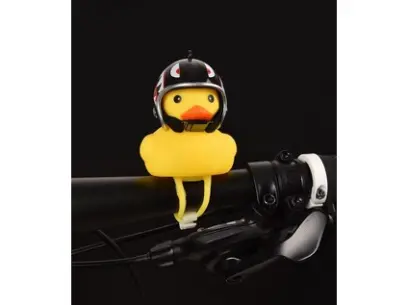 218799_82374614_118262429697436_7613857803165237248_O