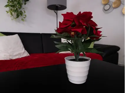 225504_IMAO_VIANOCNY_TOVAR_25.10.2022