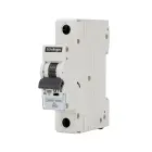 229706-g8-1p-1-bemko