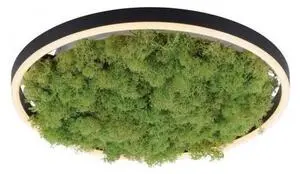 Stropné svietidlo ZUMA LINE 15391-66 LED 20W 630lm 3000K 230V IP20