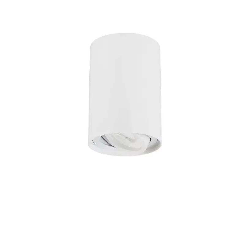 Stropné svietidlo NOVA LUCE 9011507 1x10W GU10 230V IP20