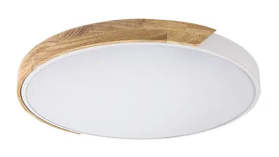 Stropné svietidlo Rabalux 71419 LED 40W 3900lm 3000/4000/6500K 230V IP20
