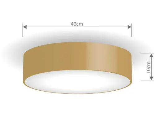 222276_ROZM_LT-STR-G-40CM~1