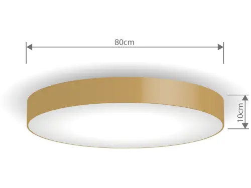 222281_ROZM_LT-STR-G-80CM