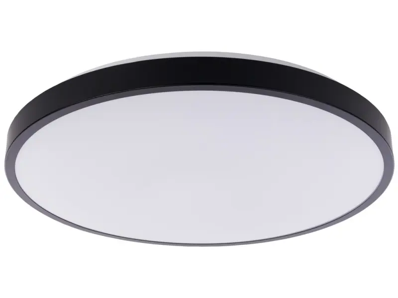 223078_8183_NOWODVORSKI