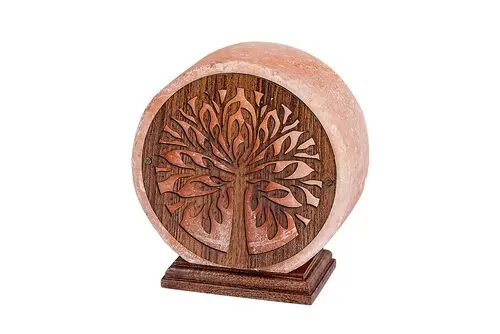 Stolová lampa Rabalux 76009 1x15W E14 230V IP20