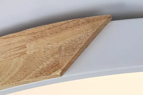 Stropné svietidlo Rabalux 71419 LED 40W 3900lm 3000/4000/6500K 230V IP20