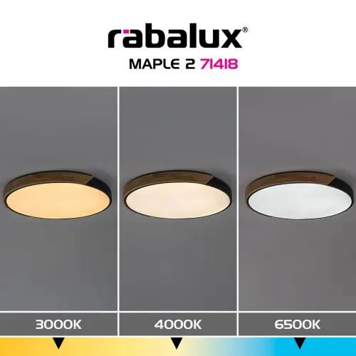 Stropné svietidlo Rabalux LED 42W 3700lm 3000/4000/6500K 230V IP20