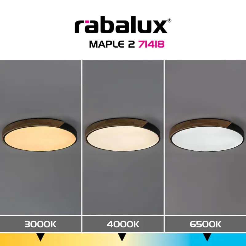 Stropné svietidlo Rabalux LED 42W 3700lm 3000/4000/6500K 230V IP20
