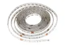 1097656201904313_LED-PASY