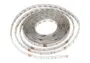1097656201904313_LED-PASY